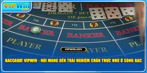 Baccarat Vipwin - Nơi Mang Đến Trải Nghiệm Chân Thực Như Ở Sòng Bạc