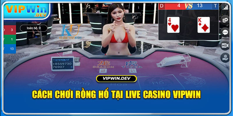 Cách chơi Rồng Hổ tại Live Casino Vipwin