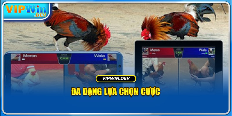 Đa dạng lựa chọn cược