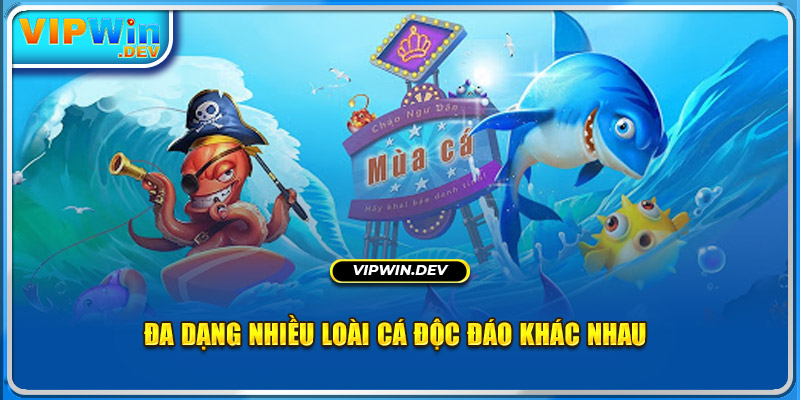 Đa dạng nhiều loài cá độc đáo khác nhau 