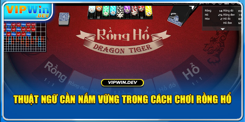 Thuật ngữ cần nắm vững trong cách chơi Rồng Hổ